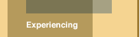 Experience