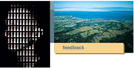 feedback