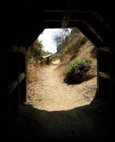 tunnel pic