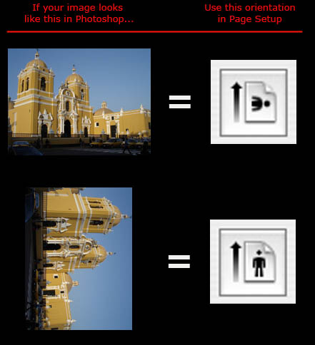 orientation graphic