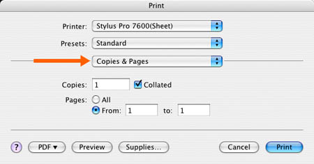 epson print dialog 1