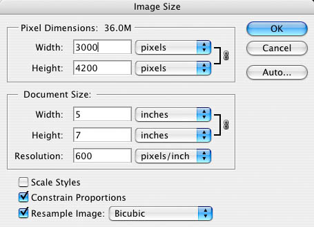 image size 600 dpi