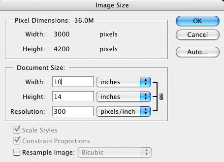 image size 300 dpi