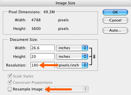 image size