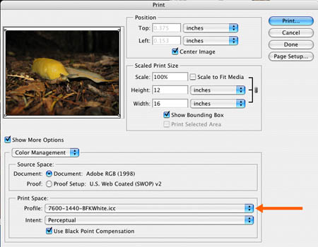 print with preview window