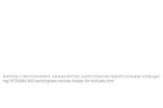 Breakthrough in Biofuel Production Process
http://www.sciencedaily.com/releases/2008/04/080407102812.htm

Biofuel: Major New Energy Gain From Switchgrass-based Ethanol
http://www.sciencedaily.com/releases/2008/01/080109110629.htm

First Switchgrass Growers for Biofuels Ok’d
http://www.knoxnews.com/news/2008/feb/18/first-switchgrass-growers-for-biofuels-okd/

Switchgrass a better biofuel source than corn
http://news.mongabay.com/2008/0107-switchgrass.html

Switchgrass Revives Hopes for Biofuels
Swhttp://environment.newscientist.com/channel/earth/climate-change/mg19726384.900-switchgrass-revives-hopes-for-biofuels.html
Switchgrass as a Biofuel: Is it Economically Feasible?
http://www.gov.mb.ca/agriculture/crops/forages/bje01s01.html
