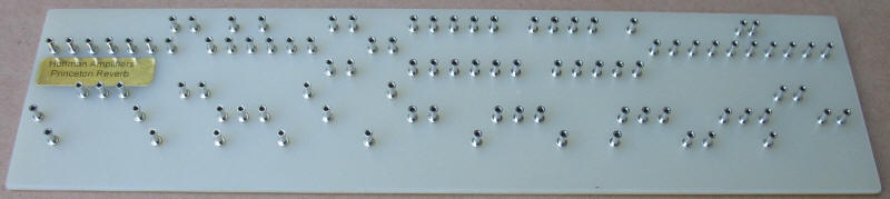 Hoffman Princeton Reverb Board