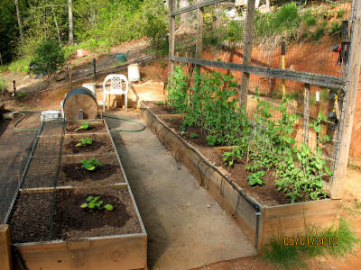 garden image