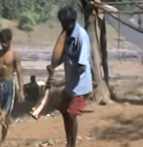 Folk hornpipe of India