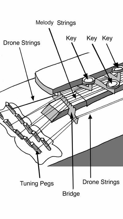 parts of bulbul tarang