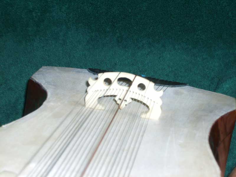 dilruba bridge