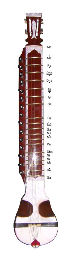 the frets of the esraj