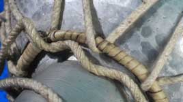 Ring at bottom
