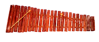 Kasht tarang, a wooden xylophone of India