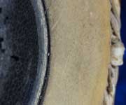 Mridangam (rim with straw)