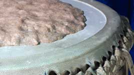 Flour and water mix­ture