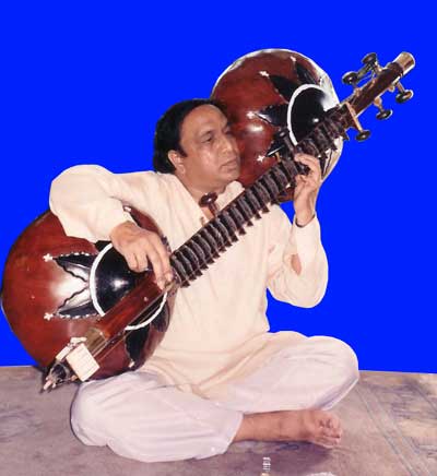 Rudra Vina, rudra veena, Been, Bin