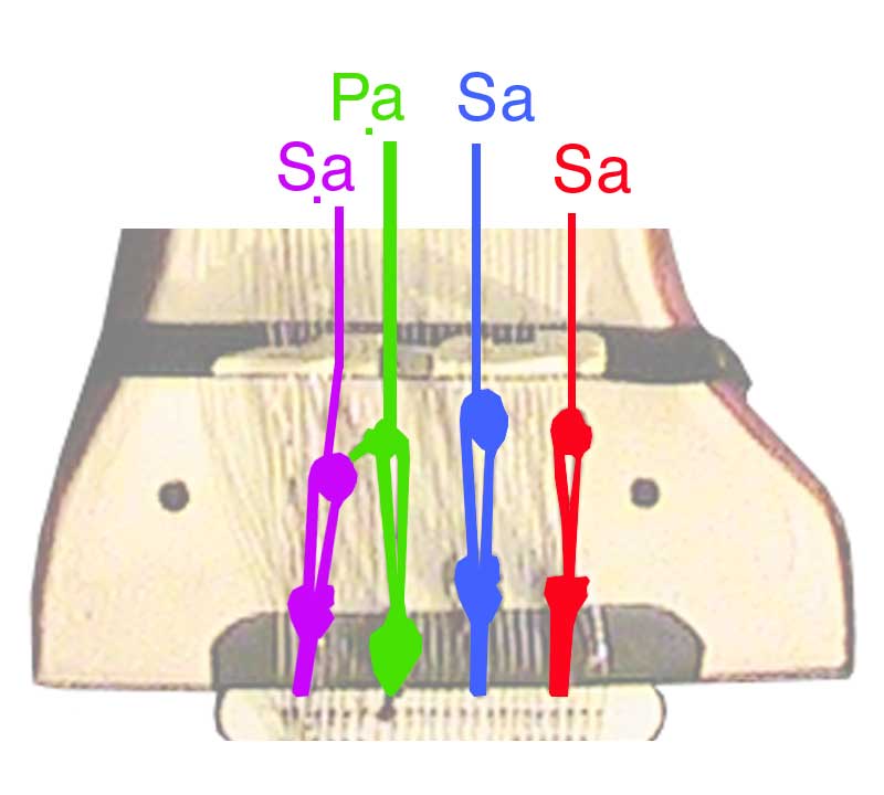 Sarangi Sa Sa Pa High Sa tuning