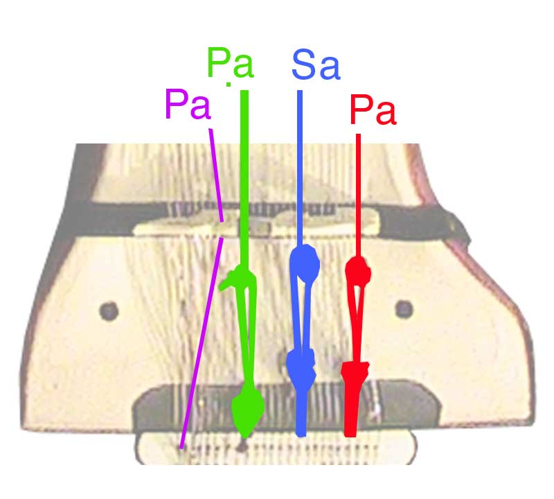 Sarangi inverted com­mon tuning