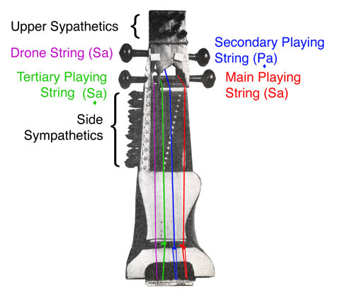 Tuning the Sarangi