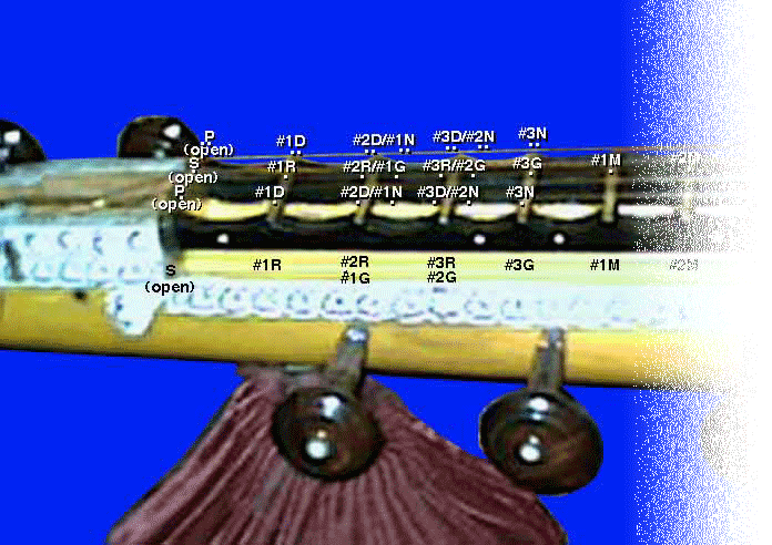 saraswati vina's frets in the lower registers