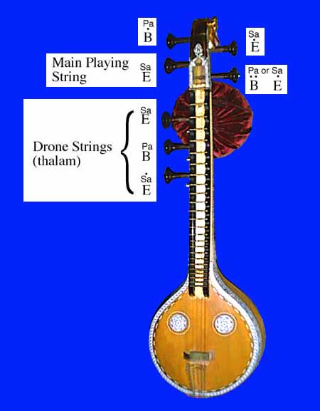 saraswati vina's tuning