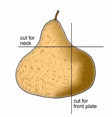 normal cut of the gourd