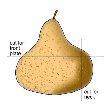 less com­mon cut of the gourd