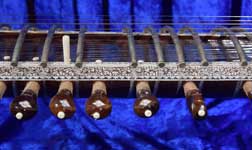 Tuning pegs, frets, and chikari mogara