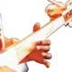 thumbnail image of Bengali Dotora