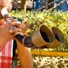 thumbnail image of Assami pepa