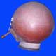 thumbnail image of In­dian Thanthi Panai