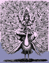 Devi Kaumari