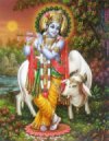 Sri Krishna