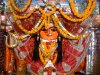 Devi Shakambari