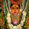Devi Shakambari