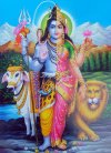 Shiva Parvati