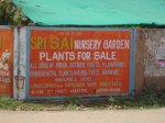 Chennai Korattur Sai Nursery