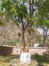 Karanja Narasimha, Ahobilam, Kurnool district, Andhra Pradesh