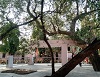 Sri Ram Sayan Ashram Sri Ram Sayan Ashram