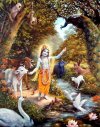 Sri Krishna and Vrindavana forest