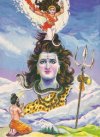 Lord Shiva