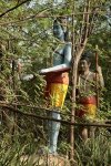 Sri Rama searching for Devi Sita