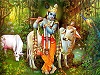Krishna Avatara