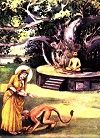 Vision of Devi Sita