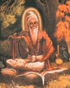 Sage Sharabhanga