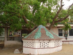 Sembakkam Devi Nagganni Amman Dakshinamurthy Temple