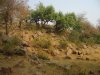 Govardhan Hill, Govardhan, Mathura district, Uttar Pradesh
