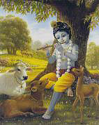 Krishna