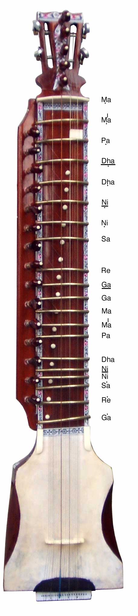the frets of the Dilruba